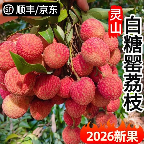 新鲜白糖罂荔枝新鲜广西5斤