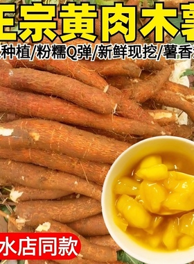 黄心木薯新鲜现挖广西特产农家当季黄肉面包木署板栗红薯糖水店