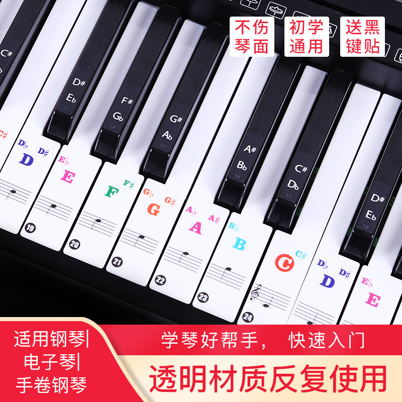 钢琴键盘贴纸88键五线谱简谱音符标电子手卷钢琴自学入门通用贴纸