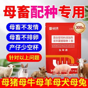 金科昊生命源元 母猪母牛母羊狗兔母畜发情配种添加剂 多情多仔宝