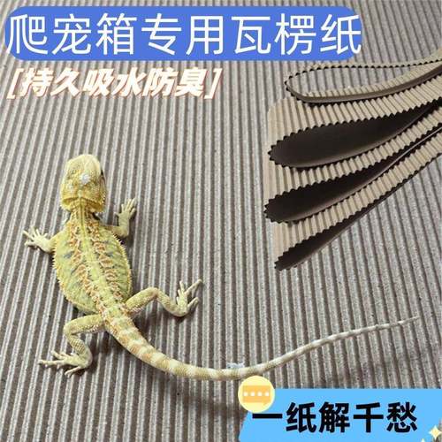 爬宠瓦楞纸垫材鬃狮蜥守宫蛇人渣盒牛皮纸垫纸加厚尿垫饲养箱造景