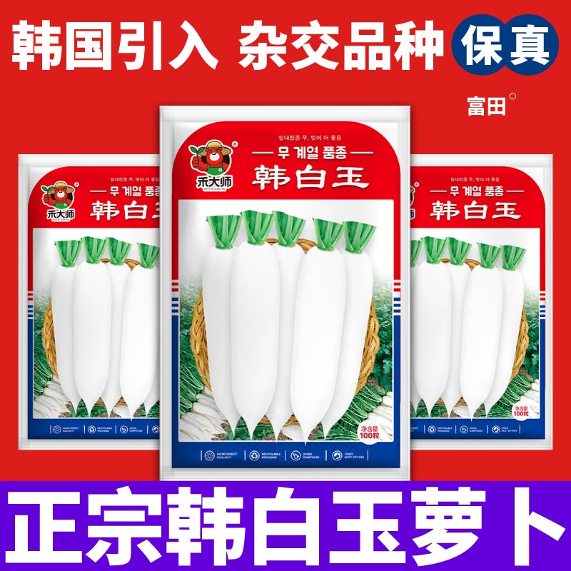 正宗韩白玉萝卜种子白萝卜绿青萝卜种籽甜脆多汁高产辣味轻易种植