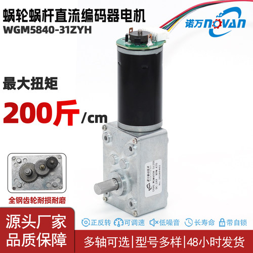 蜗轮蜗杆直流编码器电机12/24V