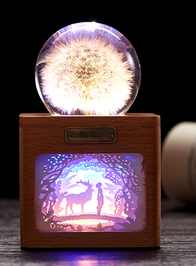 教师节蒲公英标本礼物送情侣女友