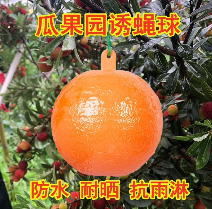 空消沾虫球诱蝇球粘虫诱虫粘蚊子果蝇柑橘大实蝇引诱剂飞虫诱捕器