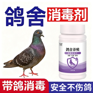 鸽舍消毒养殖场专用消毒液鸽用鸽子场鸽棚杀菌羊圈鸡圈消毒泡腾片
