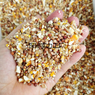 高梁麦子玉米碎混合喂鸡玉米粉碎渣玉米糁鸡鸭粮食鸽子粮兔猪仓鼠