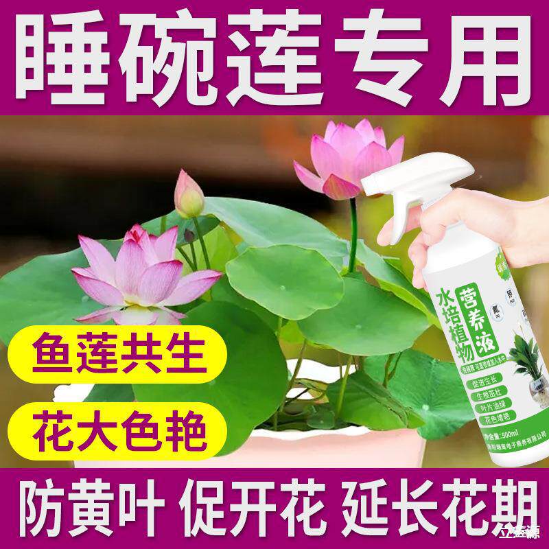 碗莲专用营养液睡莲荷花养花肥料水培观赏花卉绿色植物生根专用肥