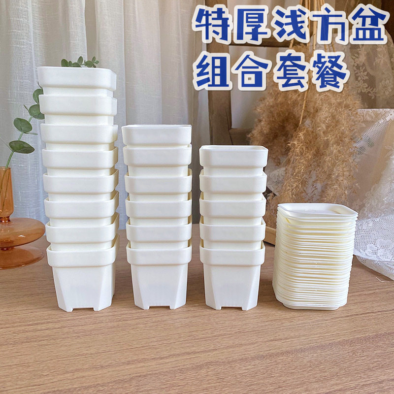 新款特厚浅方盆组合多肉塑料景天生石花盆小黑方白色叶插盆栽pp盆