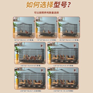 养鸡笼鸡笼子家用下蛋自动清粪滚蛋大号特大号鸡窝鸡舍折叠养殖