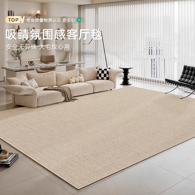 地毯客厅新款卧室床边毯茶几毯家用免洗可擦简约侘寂高级感地垫