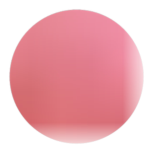 湖南红心猕猴桃苗子 红心猕猴桃树苗嫁接苗 果树苗南北方种植包邮