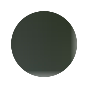 果树 罗浮山蒲桃树 海南蒲桃苗,水蒲桃树苗 南北方盆栽