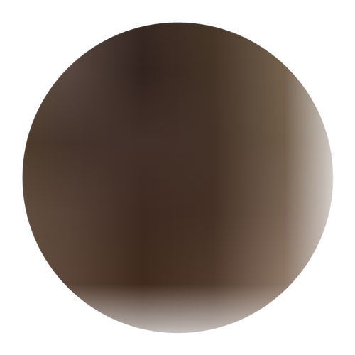 樱花苗樱花树苗日本樱花嫁接早樱晚樱樱花小苗绿化苗当年苗工程苗