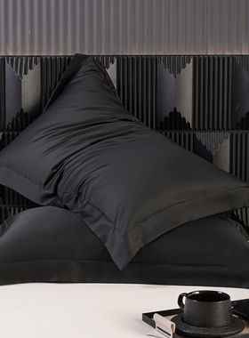 欧式高端黑色60S天丝枕套一对装48*74凉感丝滑枕头套夏季枕芯罩女