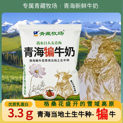 青海犏牛奶 青藏牧场青海纯牛奶儿童学生网红纯牛奶纸袋整箱包邮