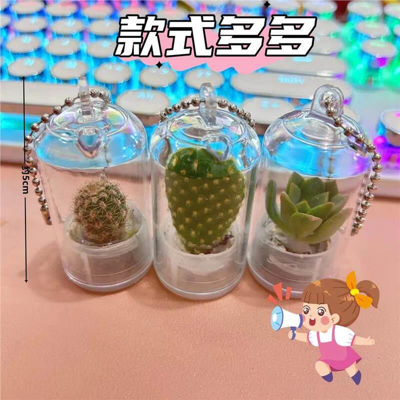 新款创意试管绿色植物钥匙扣挂件 迷你多肉仙人掌小礼品送人礼物