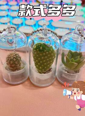 新款创意试管绿色植物钥