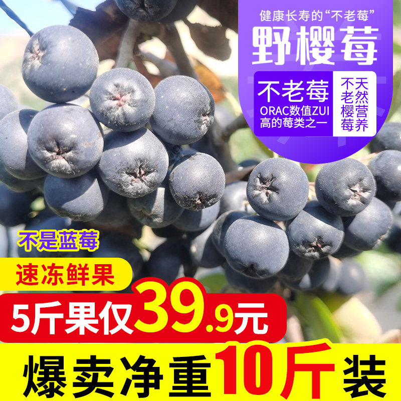 黑果花楸果野樱莓不老莓腺肋天然鲜果酵素粉果酒专用新鲜