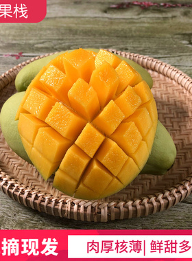 仙果栈广西新鲜黄皮芒果10斤大芒玉芒当季甜心热带整箱水果包邮