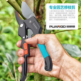 普朗德修枝果树剪树枝强力园艺剪枝剪刀园林工具葡萄花艺花卉剪子