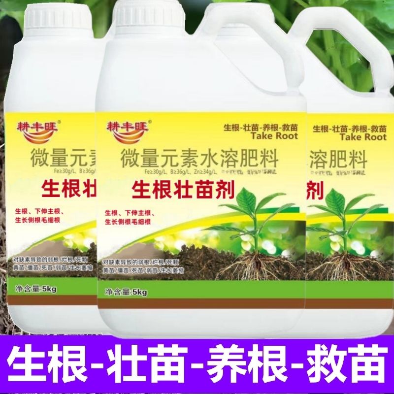 生根剂快速生根粉扦插用树木强力生根壮苗剂发根剂植物通用生根液