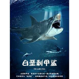 史前海洋巨兽白垩刺甲鲨模型巨齿鲨鱼儿童玩具仿真动物摆件旋齿鲨