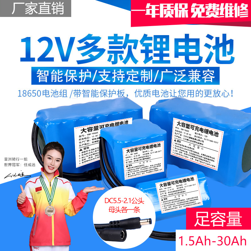 12v锂电池大容量电芯组