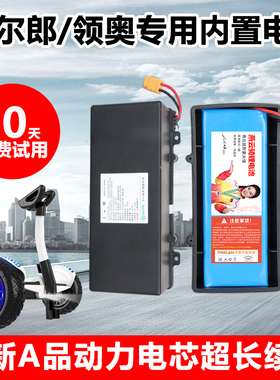 阿尔郎平衡车电池36v通用安派S1S5S11电动两轮锂电瓶长款领奥54v