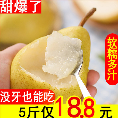 山东烟台太婆梨香蕉梨子应季新鲜水果啤梨大头梨东北茄梨老妈子梨