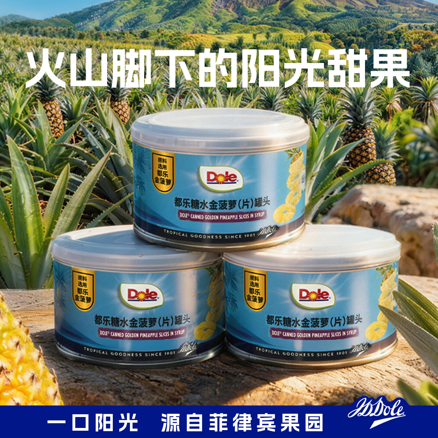 Dole都乐金菠萝片菲律宾进口水果罐头烘焙专用糖水凤梨圈圆片商用