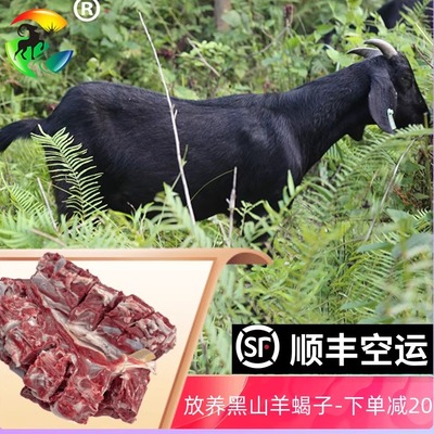 带皮新鲜黑山羊肉羊蝎子羊脖子