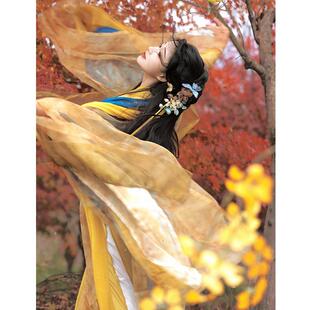 古风仙气飘飘演出服襦裙套装 魏晋风汉服2025新款 衫 直裾大袖 女 古装