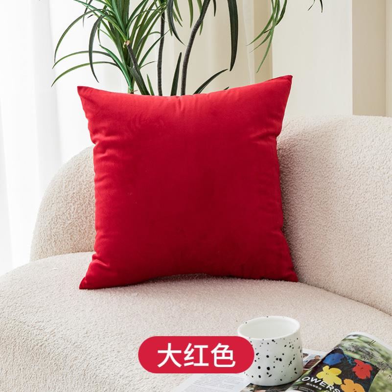 Throwpillowsofaback图片