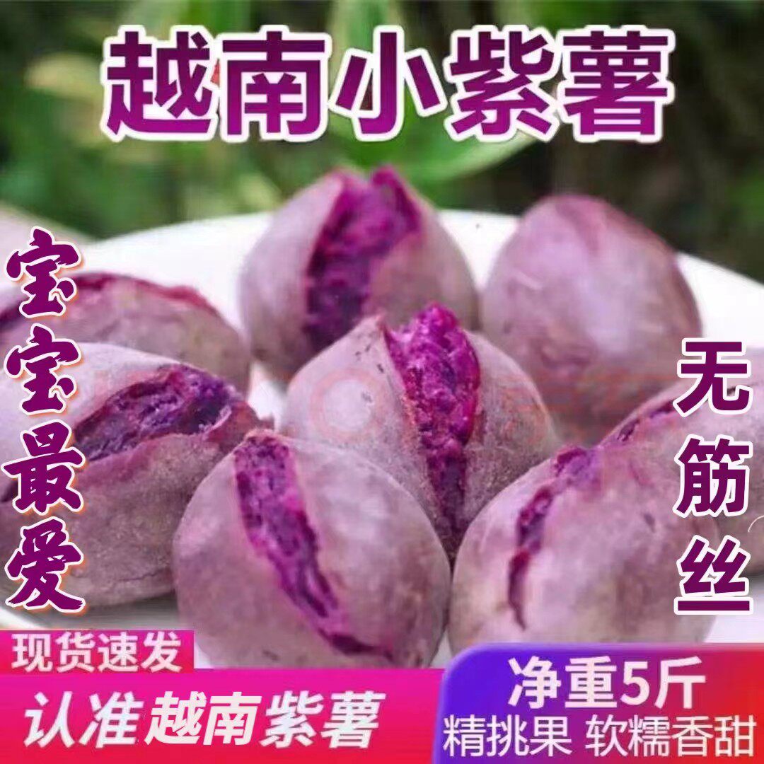 正宗越南小紫薯珍珠板栗紫薯新鲜粉糯甜紫红地瓜现挖沙地番薯农家