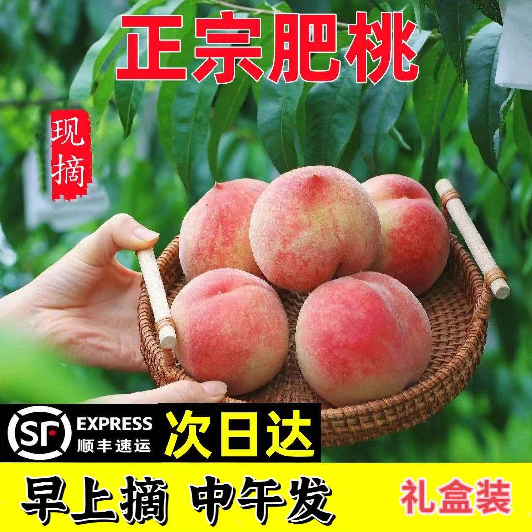 正宗肥城肥桃新鲜现摘水蜜桃露天山东泰安产地果园直发顺丰礼盒12