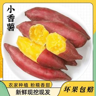 浙江临安天目山小香薯5斤新鲜正宗板栗红薯番大地瓜蜜小蕃薯小果