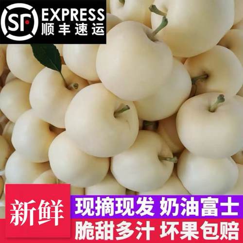 奶油白苹果新鲜现摘应季农产品