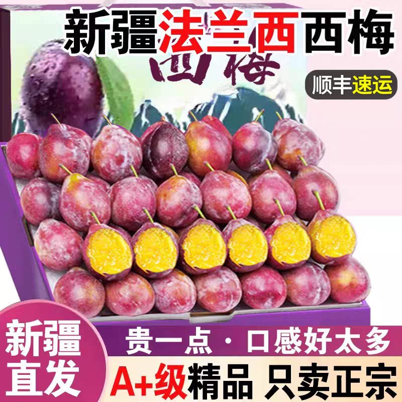 新疆法兰西西梅新鲜西梅5斤装法兰西小西梅当季新鲜西梅李子水果