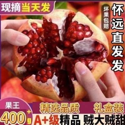 怀远石榴安徽特产红花玉石籽石榴
