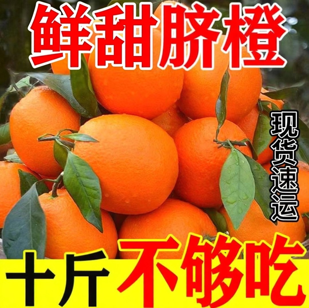 正宗重庆脐橙旗舰店纽荷尔福本甜橙子9斤现摘水果新鲜当季整箱19,水产肉类/新鲜蔬果/熟食,橙,淘宝优惠券,粉丝福利购,淘宝优惠卷