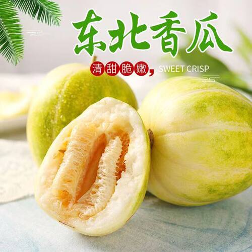 大地香瓜老品种甜香瓜现摘应季5