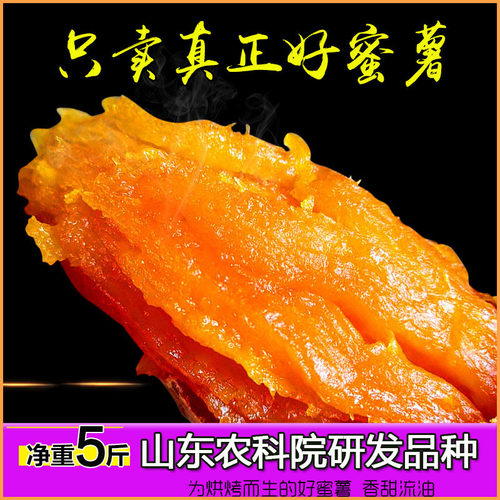 正宗山东25号农科院旗舰店烟薯