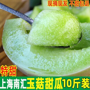 正宗上海南汇玉菇甜瓜10斤新鲜水果当季冰淇淋蜜瓜香瓜青皮绿肉