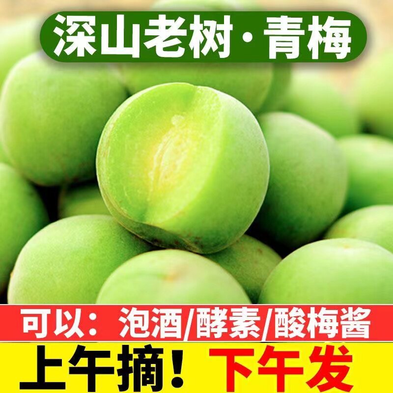 2025新鲜云南大理青梅鲜果大果深山青梅之乡酸脆泡酒专用生酵素