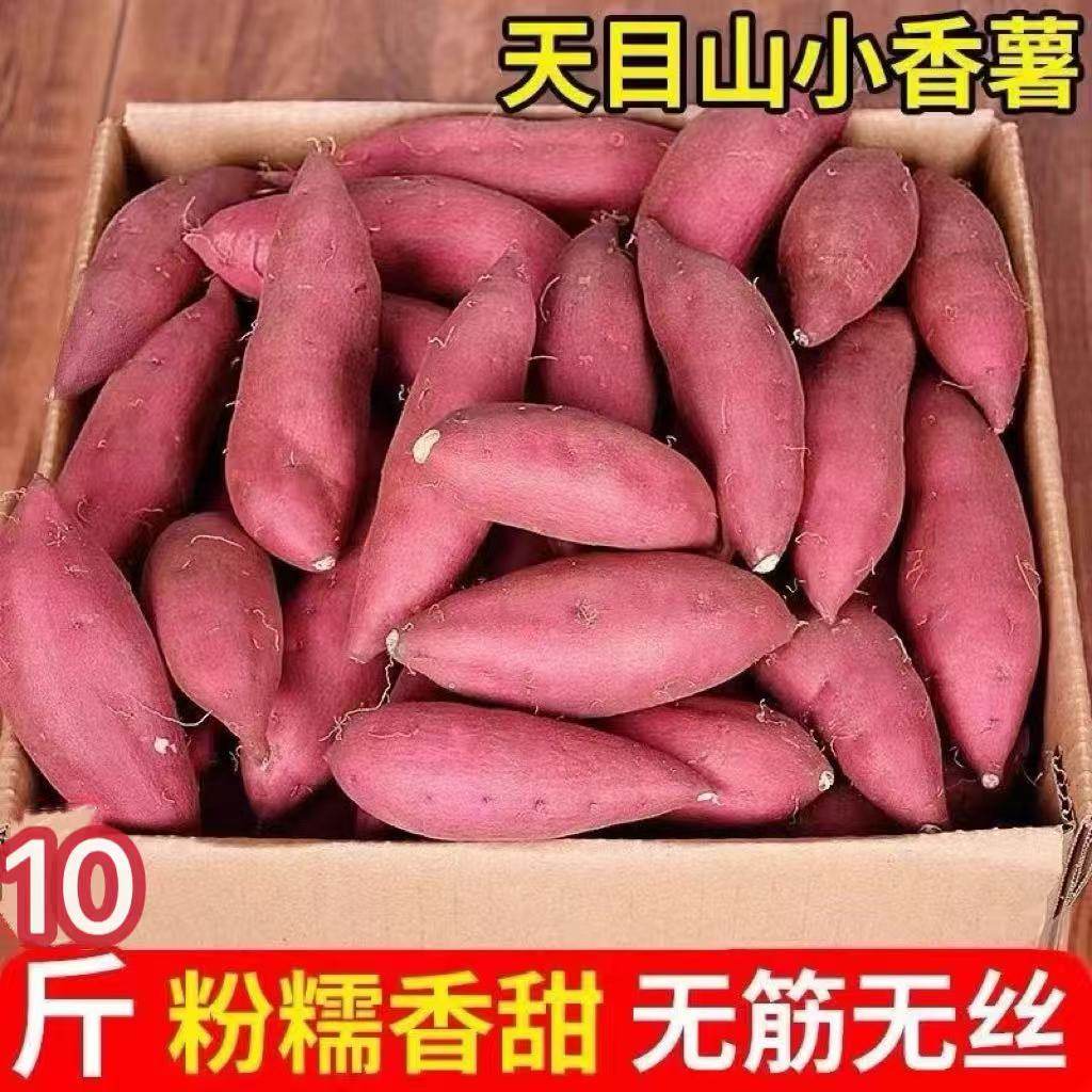 天目山小香薯旗舰店10斤正宗临安金手指浙江农科院现挖粉糯地瓜红