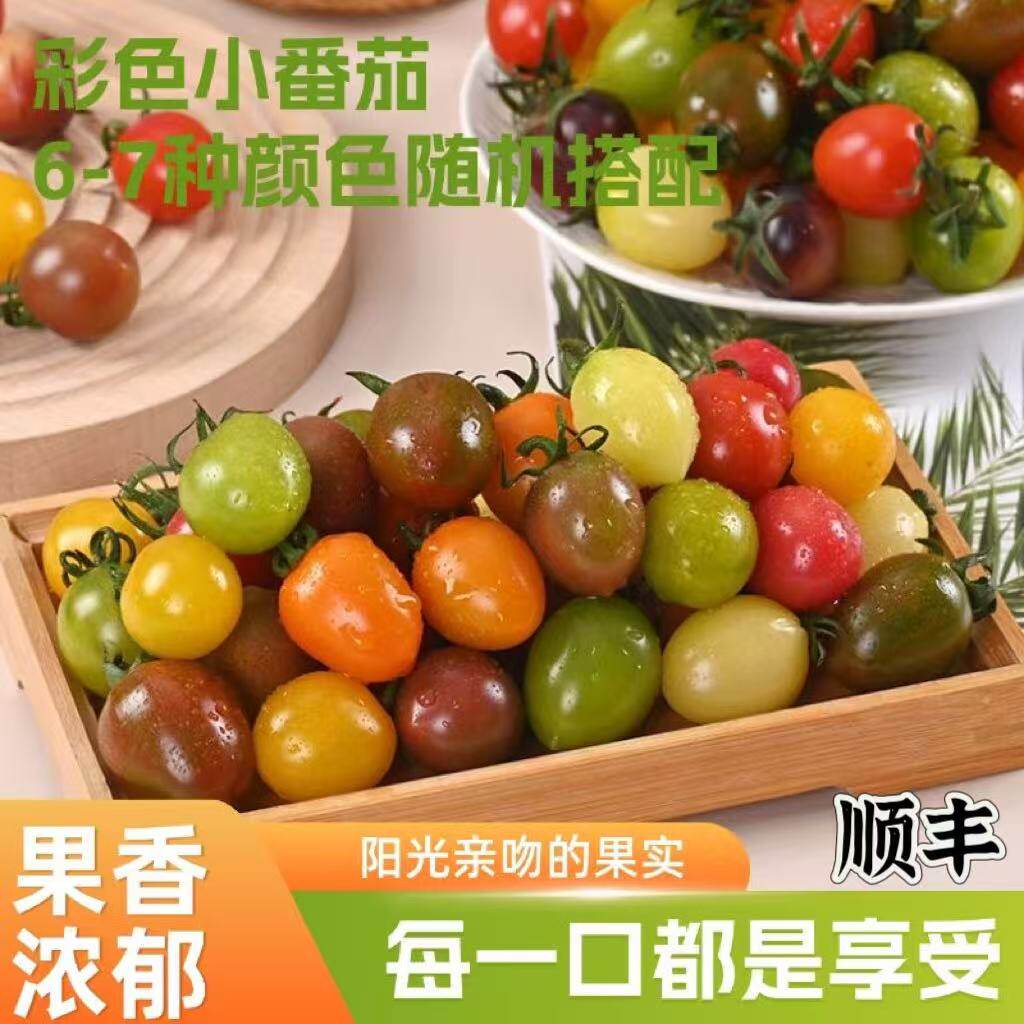 山东寿光七彩小番茄新鲜现摘圣女果混装小柿子五颜六色盲盒顺丰甜