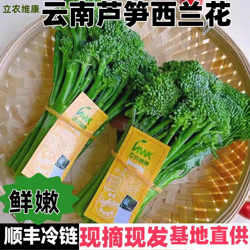 顺丰云南新鲜甜杆西兰苔芦笋西蓝花优质芥蓝菜苔农家自种当季蔬菜