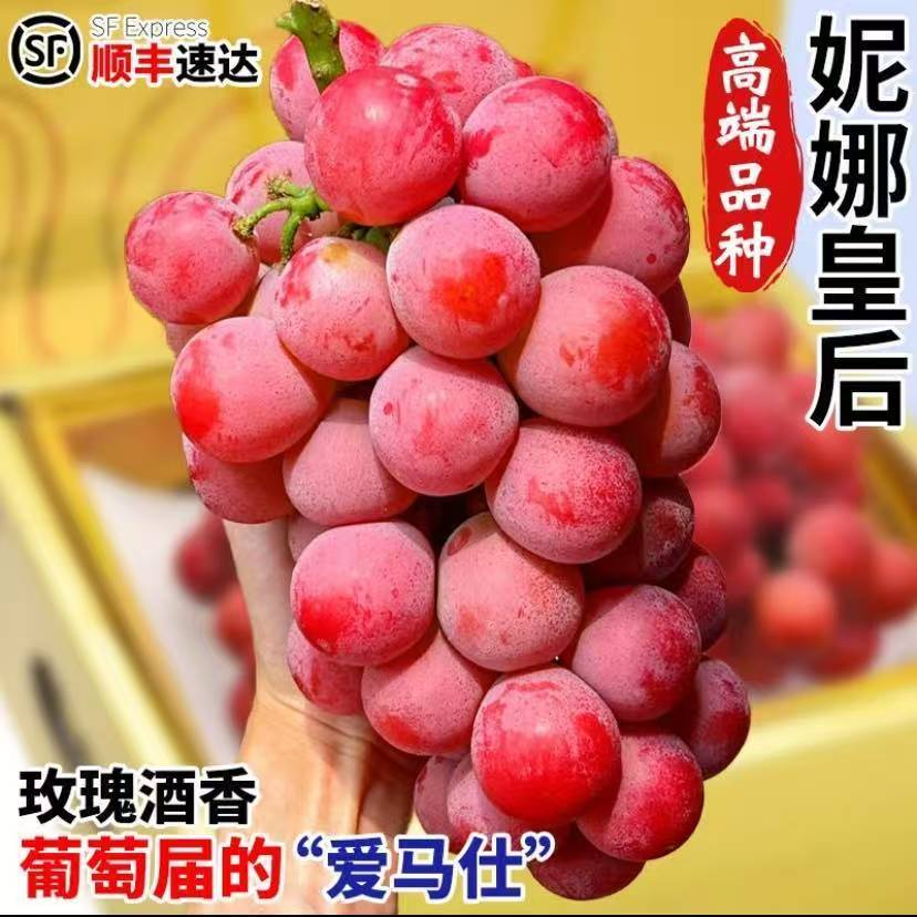 正宗妮娜皇后葡萄无籽罗马红宝石