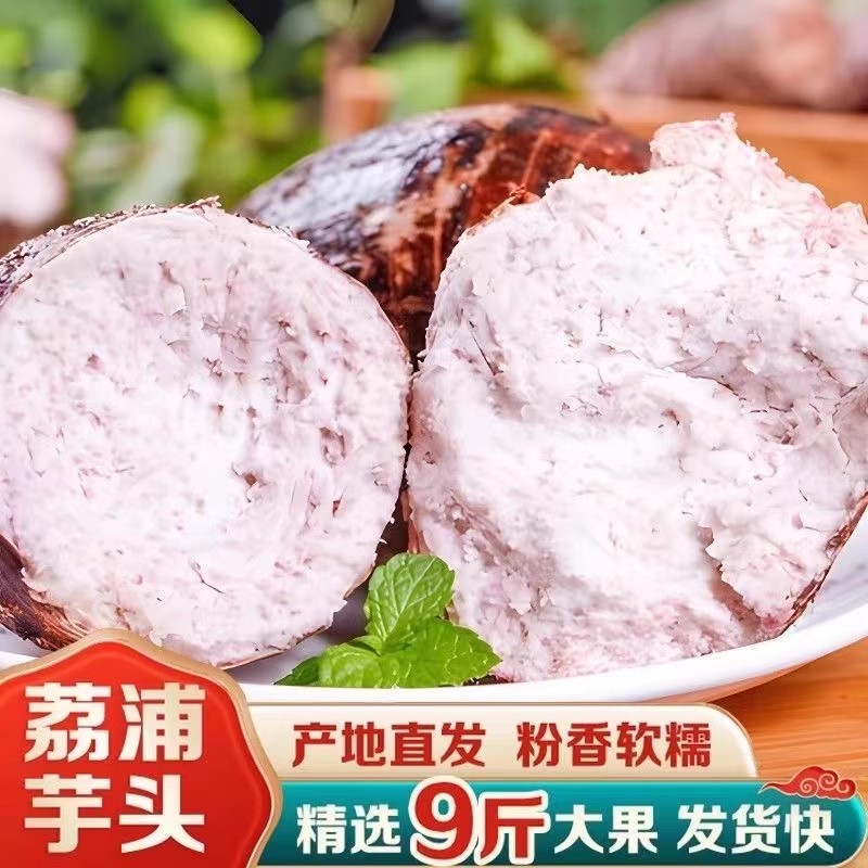 广西特产农家土特产荔浦市芋头旗舰店新鲜一级香芋5当季蔬菜毛芋